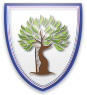 Orthopaedic Board Review Course